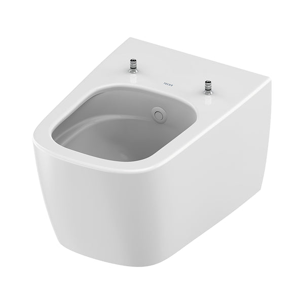 Teceneo Hangtoilet Met Bidet - Met Bidetkraan - Koud Water - 54 Cm - Glanzend Wit