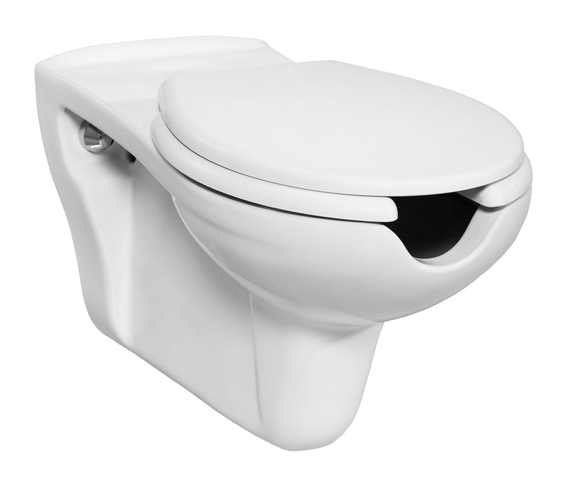 Hang-wc Wit Mindervaliden